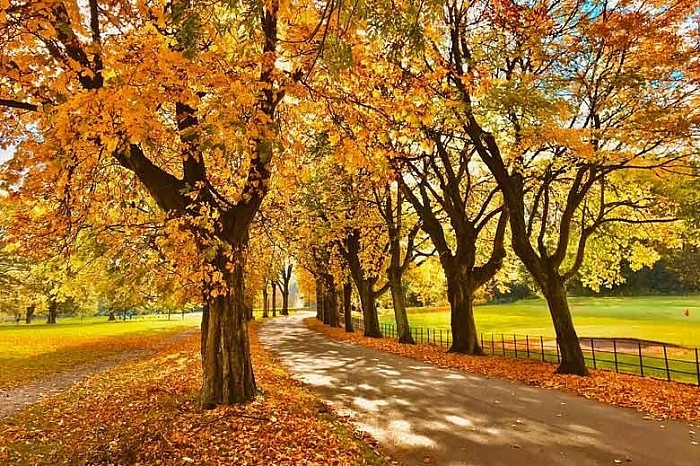 Autumn 2023